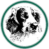 Welsh Springer Spaniel Club UK